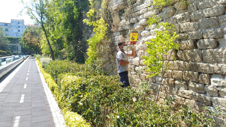 Fatih'in Parklarında Yaz Tedbiri: Karasinek Tuzaklarıyla Toplum Sağlığına Yeni Adım