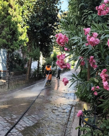 Fatih'te Temizlik ve Hijyen İçin 7/24 Hizmet