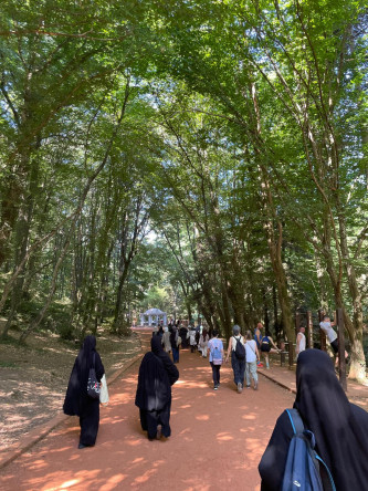 Belgrad Ormanı'nda Kadınlara Özel Sabah Yürüyüşü: Doğayla İç İçe, Sağlıklı Bir Başlangıç