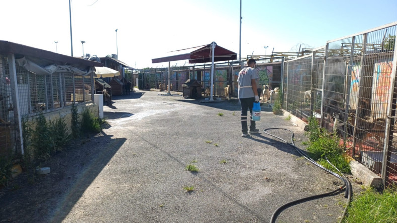 Fatih Belediyesi'nden Minik Dostlarımıza Temiz ve Güvenli Bir Yuva