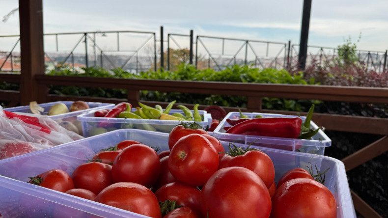 Gelenekten Sofraya: Ayvansaray Bahçe'de Menemen Buluşması
