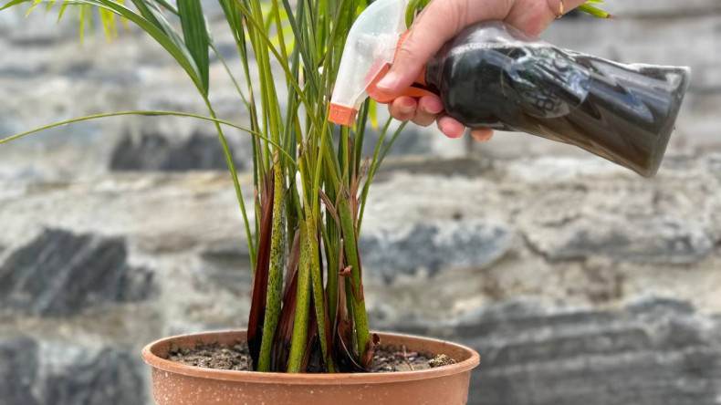 Ayvansaray Bahçe'den Sürdürülebilir Yaşam İçin Kompost Atölyesi