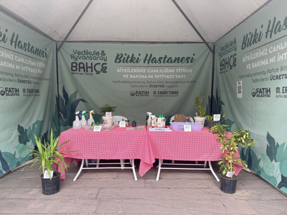 Bitki Hastanesi, Yavuz Selim Çukurbostan Yaşam Merkezi'nde: Fatih'in Yeşiline Şifa Oluyor