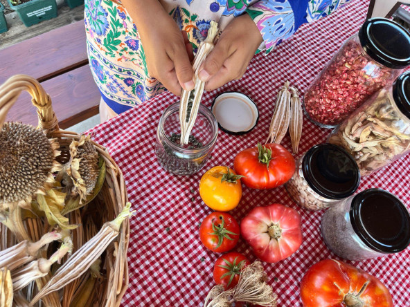 Vatandaşlarımız, Yedikule & Ayvansaray Bahçe'deki Atalık Tohum Eğitiminde Doğa ile Bir Araya Geliyor