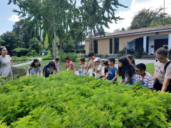 Bilim Fatih Öğrencilerimiz Tıbbi Bitkiler Bahçesi'nde Bitkilerin Gizemlerini Keşfetti