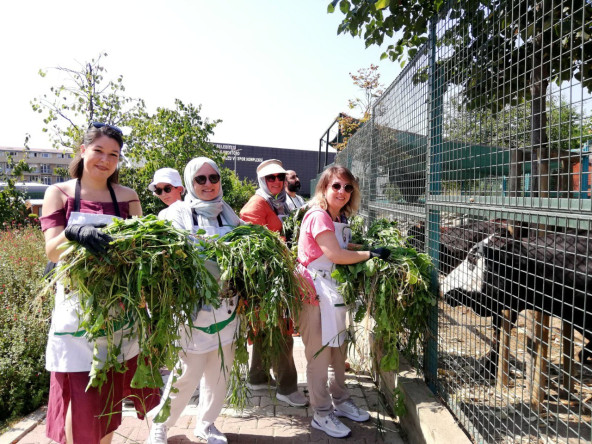 Şehirde Bahçıvan Atölyesi: Yedikule Bahçe'de Toprakla Buluşmanın İncelikleri