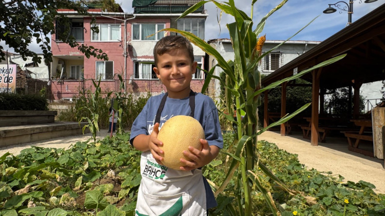 Ayvansaray Bahçe'de Doğa ile Buluşma: Çocuklarımız Kavun ve Karpuz Hasadında Hem Eğlendi Hem Öğrendi