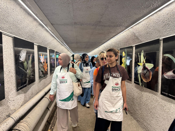 Yedikule & Ayvansaray Bahçe'den Yeşil Rota: Tıbbi Bitkilerin Dünyasında Doğanın İzinde Bir Keşif