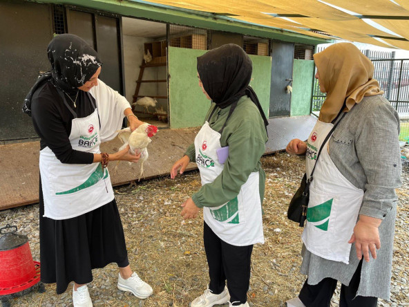 Ayvansaray Bahçe'de Vatandaşlarımızın Katılımıyla Kümes Hayvanları İçin Kapsamlı Bakım Programı