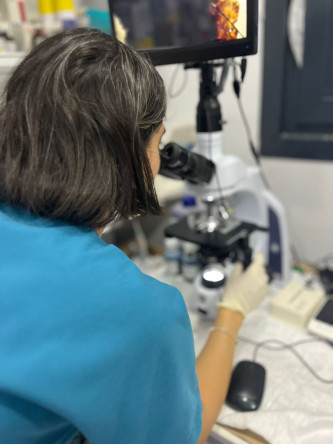 Fatih Belediyesi Minik Dostlarımızın Sağlığına Yönelik Kapsamlı Veterinerlik Çalışmaları Başlattı