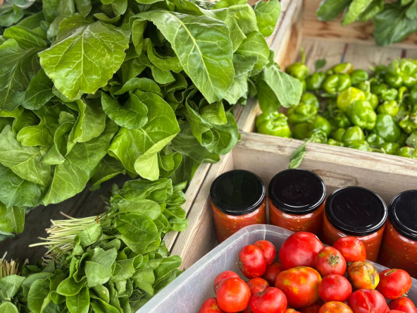 Yedikule Bahçe Manav'dan Sofralarınıza Doğallığın Taptaze Hali