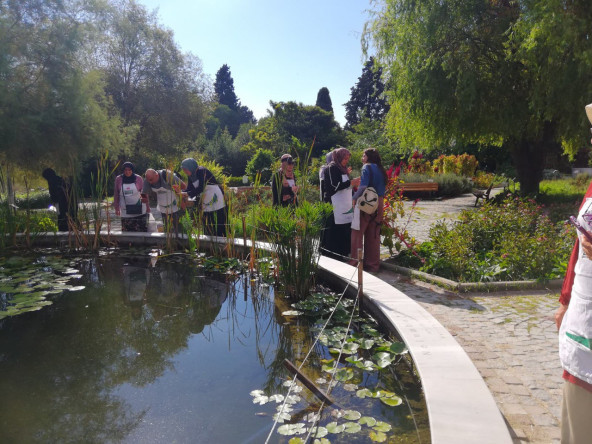 Yedikule & Ayvansaray Bahçe'den Yeşil Rota: Tıbbi Bitkilerin Dünyasında Doğanın İzinde Bir Keşif