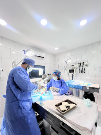 Fatih Belediyesi'nden Minik Dostlarımıza Güvenli Gelecek: 1348 Kısırlaştırma Operasyonu ile Sağlıklı Adımlar