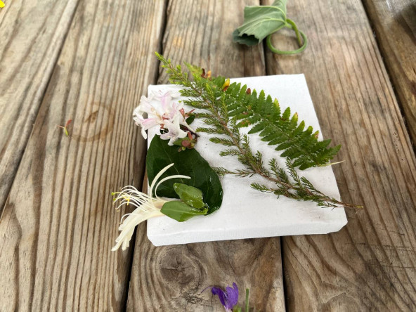 Kadın ve Aile Birimimiz “Rota: Offline” Etkinliğiyle Katılımcıları Aydos Ormanı ve Aydos Kalesi'nde Doğa ve Sanatla Buluşturdu