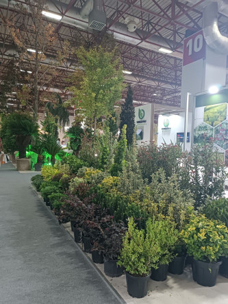 Yedikule & Ayvansaray Bahçe'den Yeşil Rota: İstanbul Peyzaj Fuarı'nda Doğanın İzinde Bir Keşif