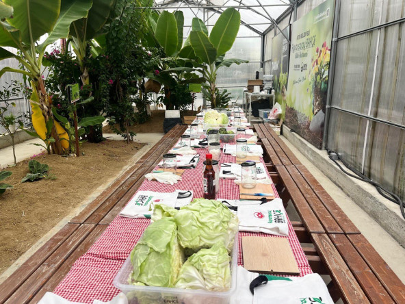 Vatandaşlarımız, Ayvansaray Bahçe'de Geleneksel Yöntemlerle Turşu Yapımını Öğrenerek Keyifli Zaman Geçiriyor