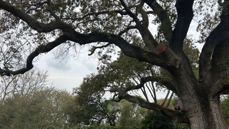 Doğanın Kalbinde Bir Mola: Kadın ve Aile Birimimiz ile Fetihpaşa Korusu'nda Buluşma