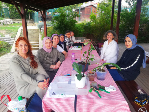 Yedikule Bahçe'de Temel Bitki Bakımı Programı: Bitki Sağlığı Konusunda Bilgi ve Çözüm Noktası