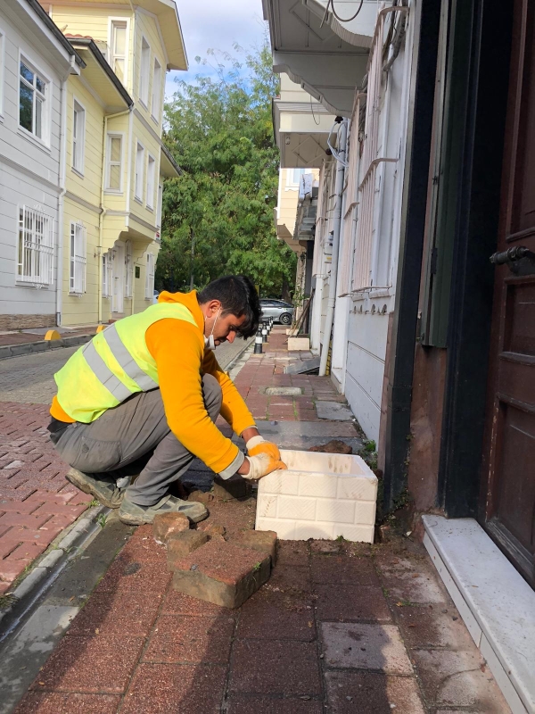 dikey çiçekleme haberi