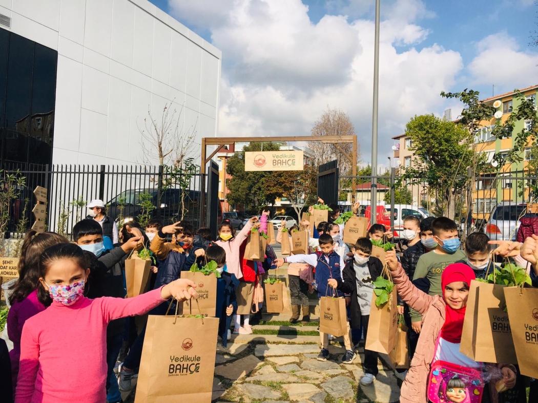 yedikule bahçe hasat haberi