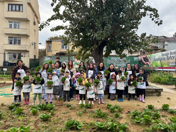 Ayvansaray Bahçe'de Marul Hasadı: Çocuklarımızla Geleceğe Uzanan Hikâye