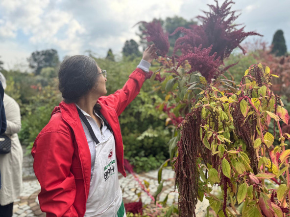 Yedikule & Ayvansaray Bahçe'den Yeşil Rota: Tıbbi Bitkilerin Dünyasında Doğanın İzinde Bir Keşif