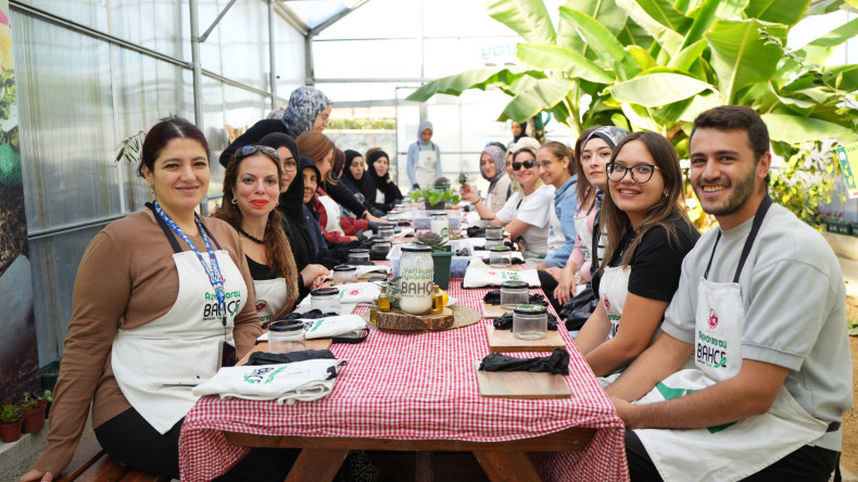 Vatandaşlarımız, Ayvansaray Bahçe'deki Zeytin Hasadı ile Salamura Etkinliğinde Buluşuyor