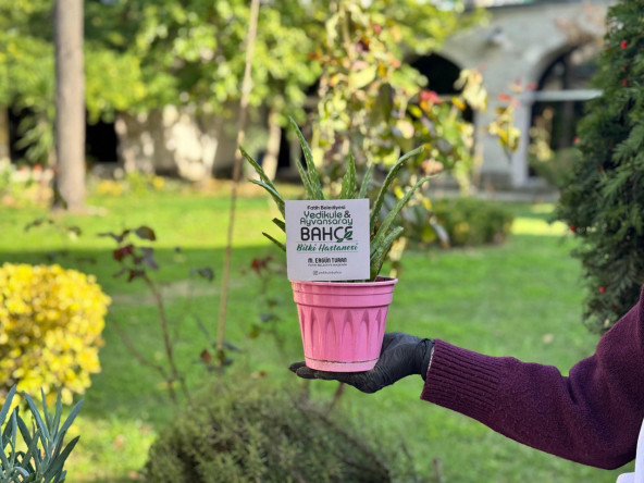 Fatih'in Doğasına Şifa: Bitki Hastanemiz Süleymaniye Yazma Eser Kütüphanesi'nde