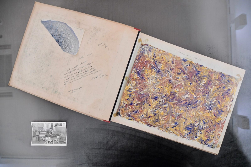 kadırga sanat açılış