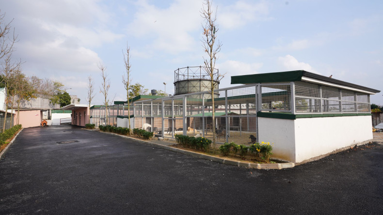 Barınağımız Büyüyor: Yedikule Hayvan Barınağımızın 3. Etabını Hizmete Açtık