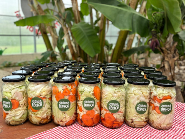 Yedikule Bahçe'de Lahana Turşusu Yapımı: Sofralara Eski Usul Lezzet