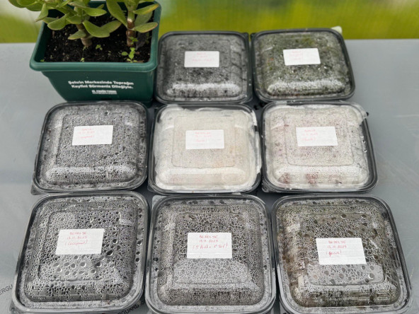 Vatandaşlarımız, Yedikule & Ayvansaray Bahçe'deki Atalık Tohum Eğitiminde Doğa ile Bir Araya Geliyor