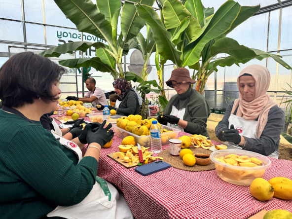 Ayvansaray Bahçe'de Geleneksel Lezzet: Odun Ateşinde Ayva Reçeli Atölyesi