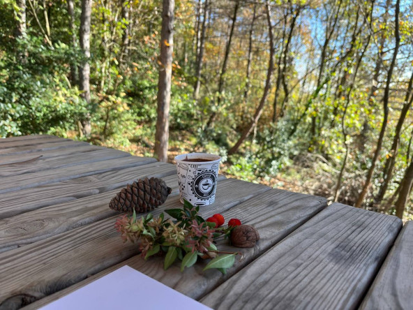 Kadın ve Aile Birimimiz “Rota: Offline” Etkinliğiyle Katılımcıları Aydos Ormanı ve Aydos Kalesi'nde Doğa ve Sanatla Buluşturdu