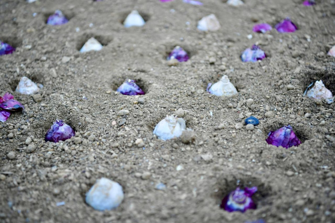 Başkan Turan, Sümbül Efendi Türbesi'nde Geleneksel Sümbül Soğanı Ekimine Katılarak Manevî Geleneği Bu Yıl da Sürdürdü