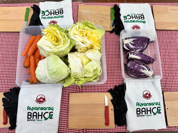 Vatandaşlarımız, Ayvansaray Bahçe'de Geleneksel Yöntemlerle Turşu Yapımını Öğrenerek Keyifli Zaman Geçiriyor