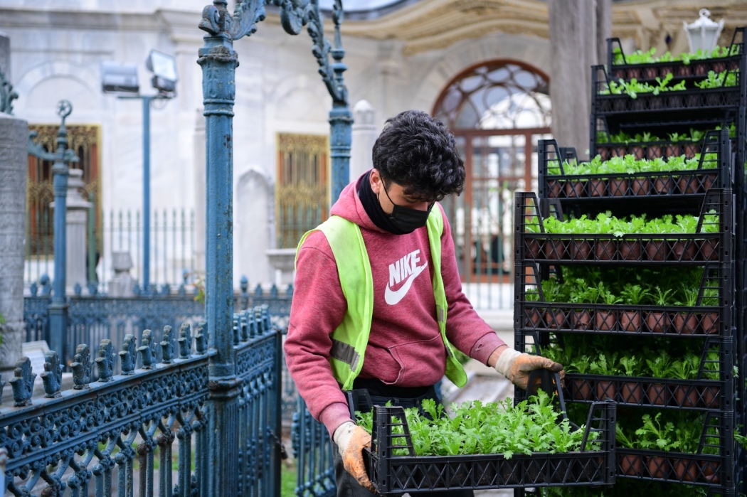 Türbe Temizlik Haberi