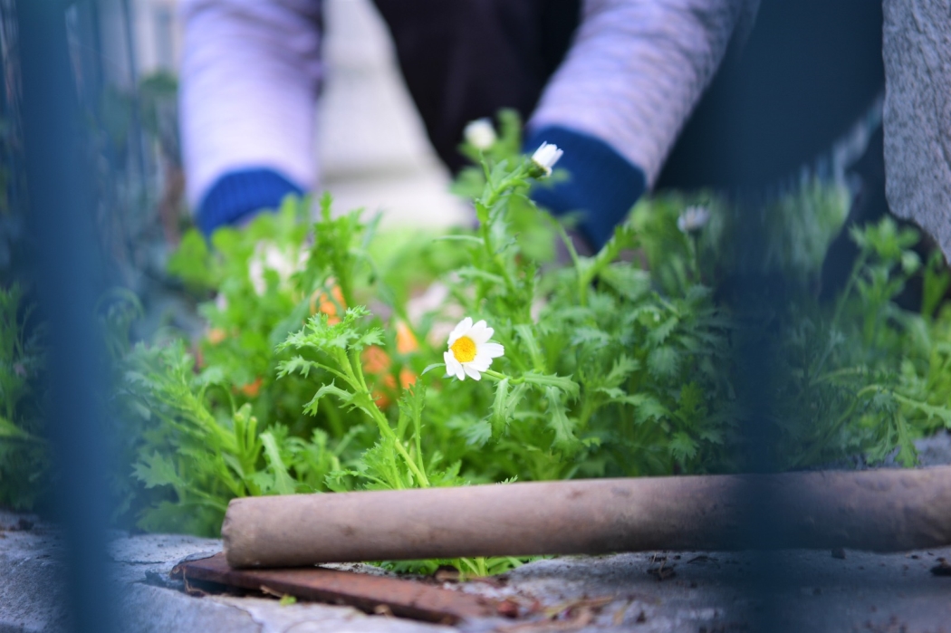 Hazire ve Türbelerin Kış Bakımı Yapılıyor