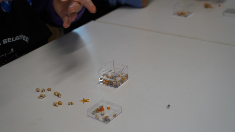 KARINCA El Emeği Eğitim Birimi'nde Jel Mum Atölyesi: Fındıkzade'de Bilgi ve Üretim Odaklı Buluşma