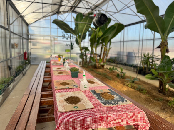 Ayvansaray Bahçe'de Sürdürülebilir Yaşamın İzinde: Anneler ve Çocuklarımızla Tohum Toplarıyla Doğaya Umut Bırakan Etkinlik