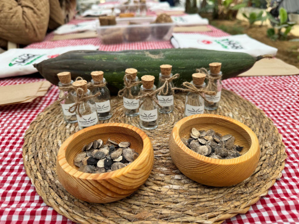 Atalık Tohumlarla Geleceğe Adım: Ayvansaray Bahçe'de Vatandaşlarımızla Lif Kabağı Çimlendirme Etkinliği