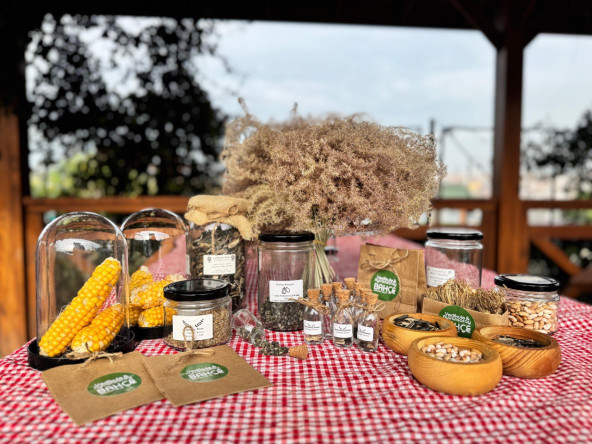 Vatandaşlarımız, Yedikule & Ayvansaray Bahçe'deki Atalık Tohum Eğitiminde Doğa ile Bir Araya Geliyor