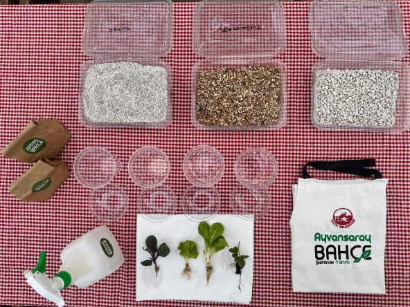 Topraksız Tarımın Şehirdeki Adresi: Yedikule & Ayvansaray Bahçe'de Yenilikçi Eğitimler Devam Ediyor