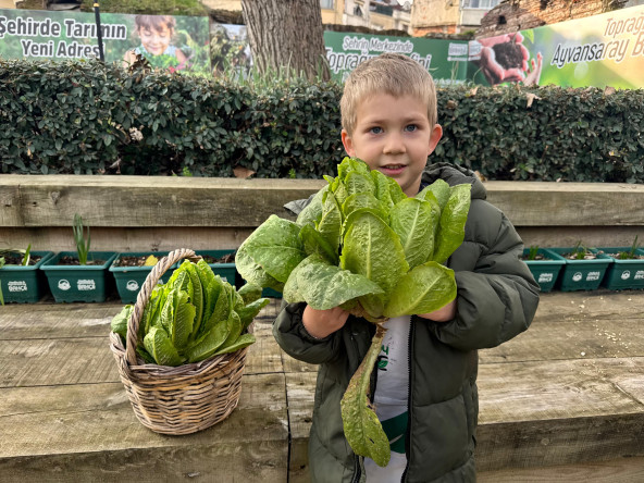 Yedikule Marulu: Şehrin Topraktan Gelen Hikâyesi, Çocuklarımızla Gerçekleştirilen Hasat Etkinliğiyle Geleceğe Taşınıyor