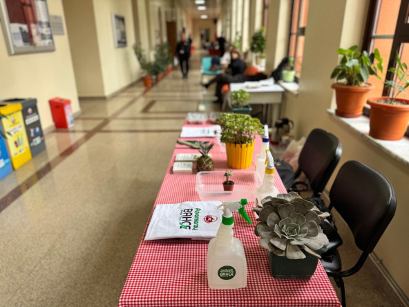 Fatih'in Doğasına Şifa: Bitki Hastanemiz Bezmialem Vakıf Üniversitesi'nde