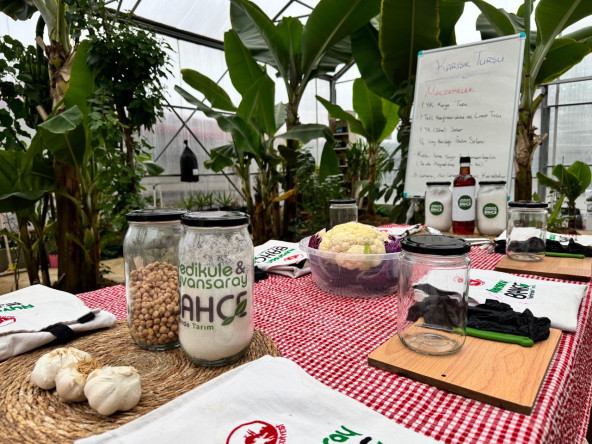 Vatandaşlarımız, Ayvansaray Bahçe'de Geleneksel Yöntemlerle Turşu Yapımını Öğrenerek Keyifli Zaman Geçiriyor