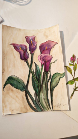 KARINCA El Emeği Eğitim Birimimizden Ayvansaray'da Vatandaşlarımıza Yönelik Bitki İllüstrasyonu Çalışması