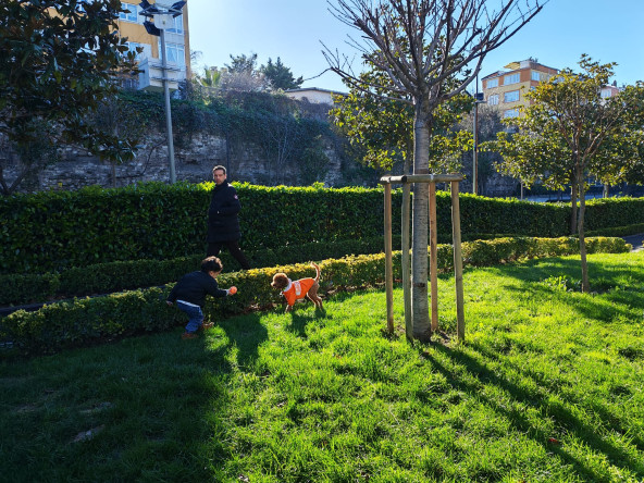 Fındıkzade Çukurbostan Yaşam Merkezimizin Sevimli Maskotu Max, Mahallemize Neşe Katıyor!