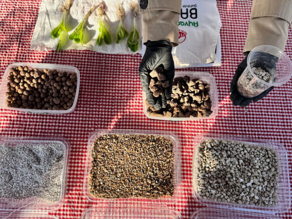 Topraksız Tarımın Şehirdeki Adresi: Yedikule & Ayvansaray Bahçe'de Yenilikçi Eğitimler Devam Ediyor