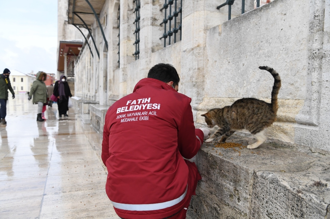 Sevimli Dostlarımızı Unutmadık haberi